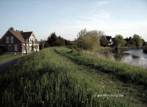 Altes Land in der Nähe von Jork