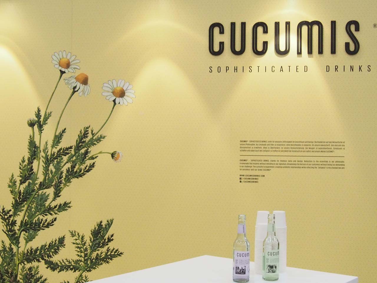 Getränke-Innovation 2017: Cucumis Kamille