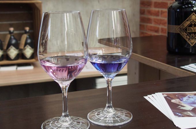 Illusionist - die beiden Farben des Gin