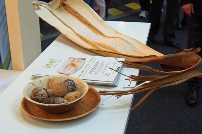 Nachhaltiger Rohstoff: Palmblatt