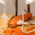 Nachhaltigkeit in der Gastronomie