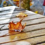 Gastronomie im Herbst und Winter