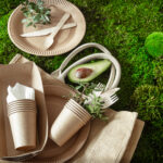 Paper food boxes, plates and cutlery